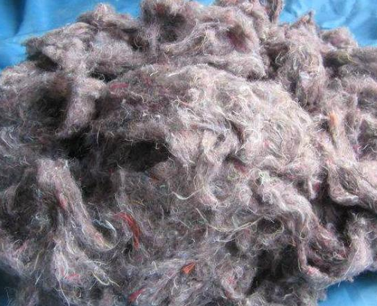 舊衣服做再生棉國家禁止嘛？再生棉衣服對人體有害嗎？