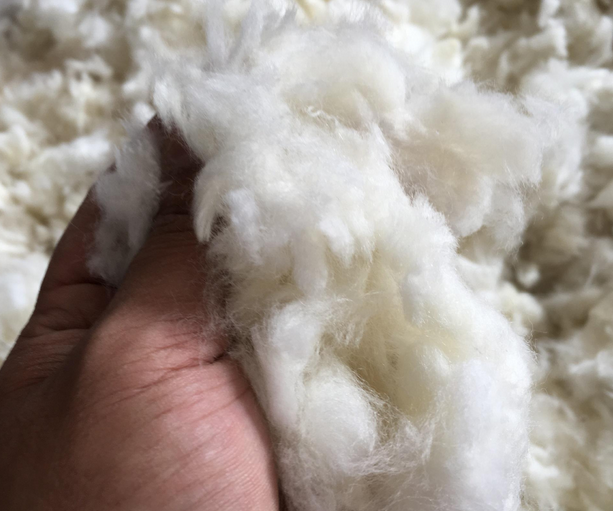 什么面料輕薄保暖——羊毛