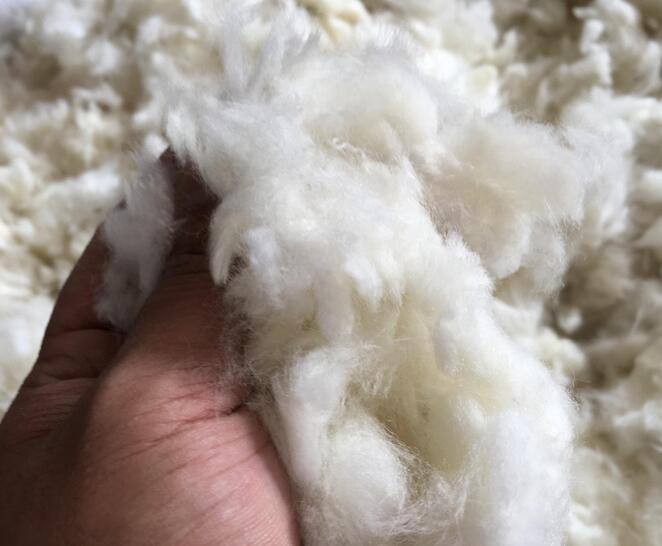 羊毛怎么鑒別真假