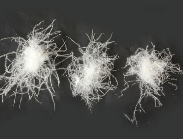 鵝絨和鴨絨有什么區別